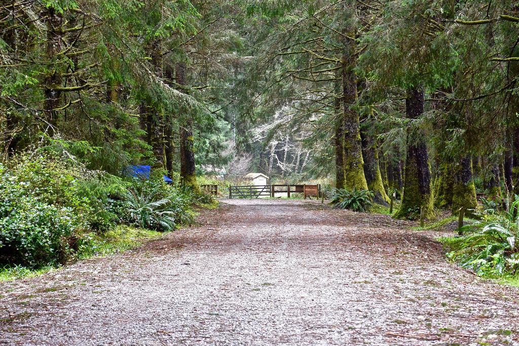 The Bamfield Motel Salmon Beach Exterior photo